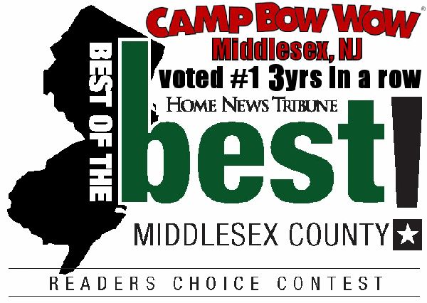 Best of Best 2015