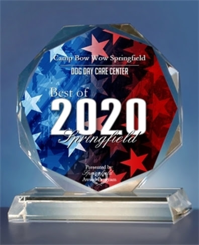 Best of Springfield 2020