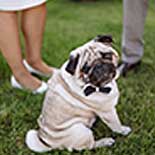 Dog wedding outfit Dog wedding outfit