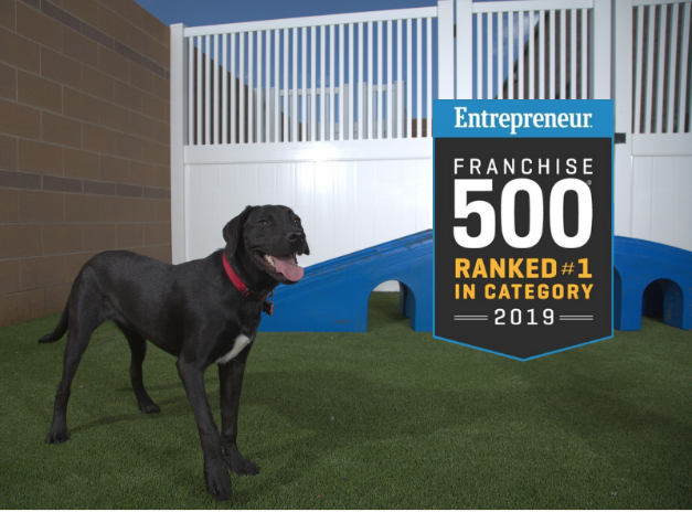 camp bow wow franchise