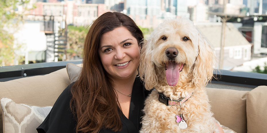Camp Bow Wow Names Cail Morrison as New President Camp Bow Wow