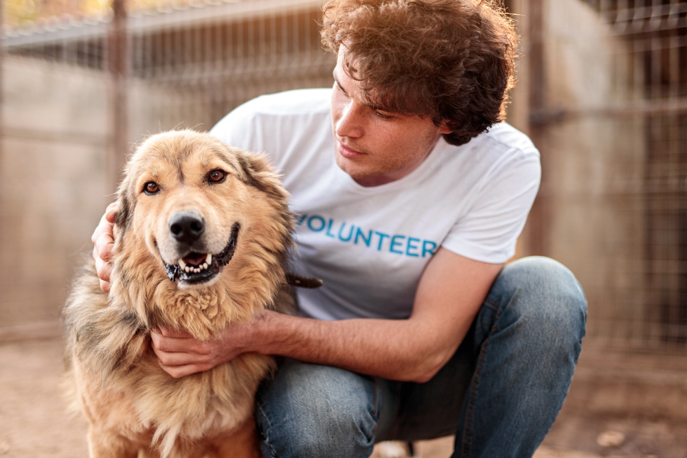 Celebrate Animal Rights Awareness Week