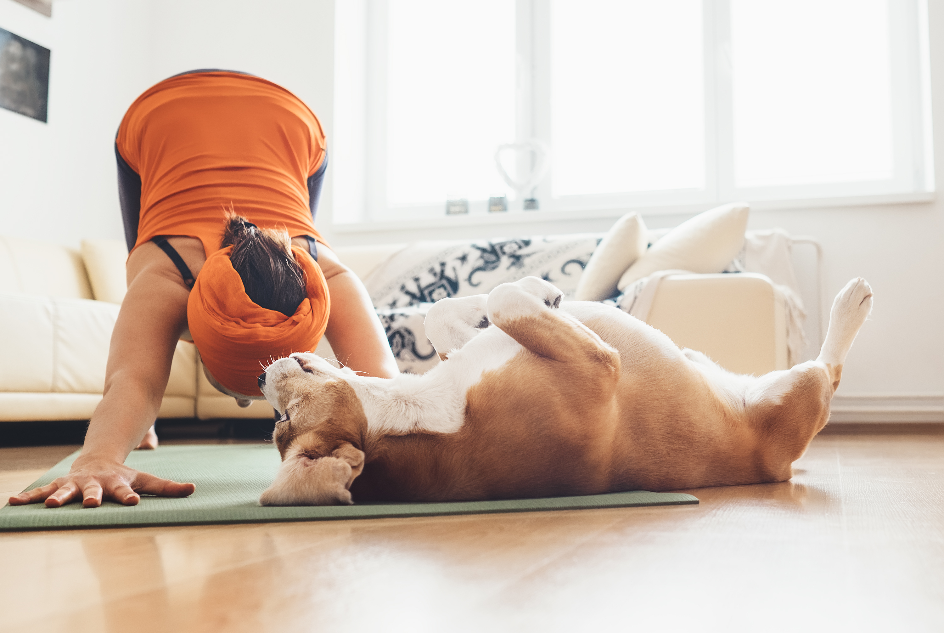 3 Ways to Get Fit With Your Dog This Spring