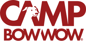 Pet Care Services in Albany | Dog Day Care in Albany | Camp Bow Wow