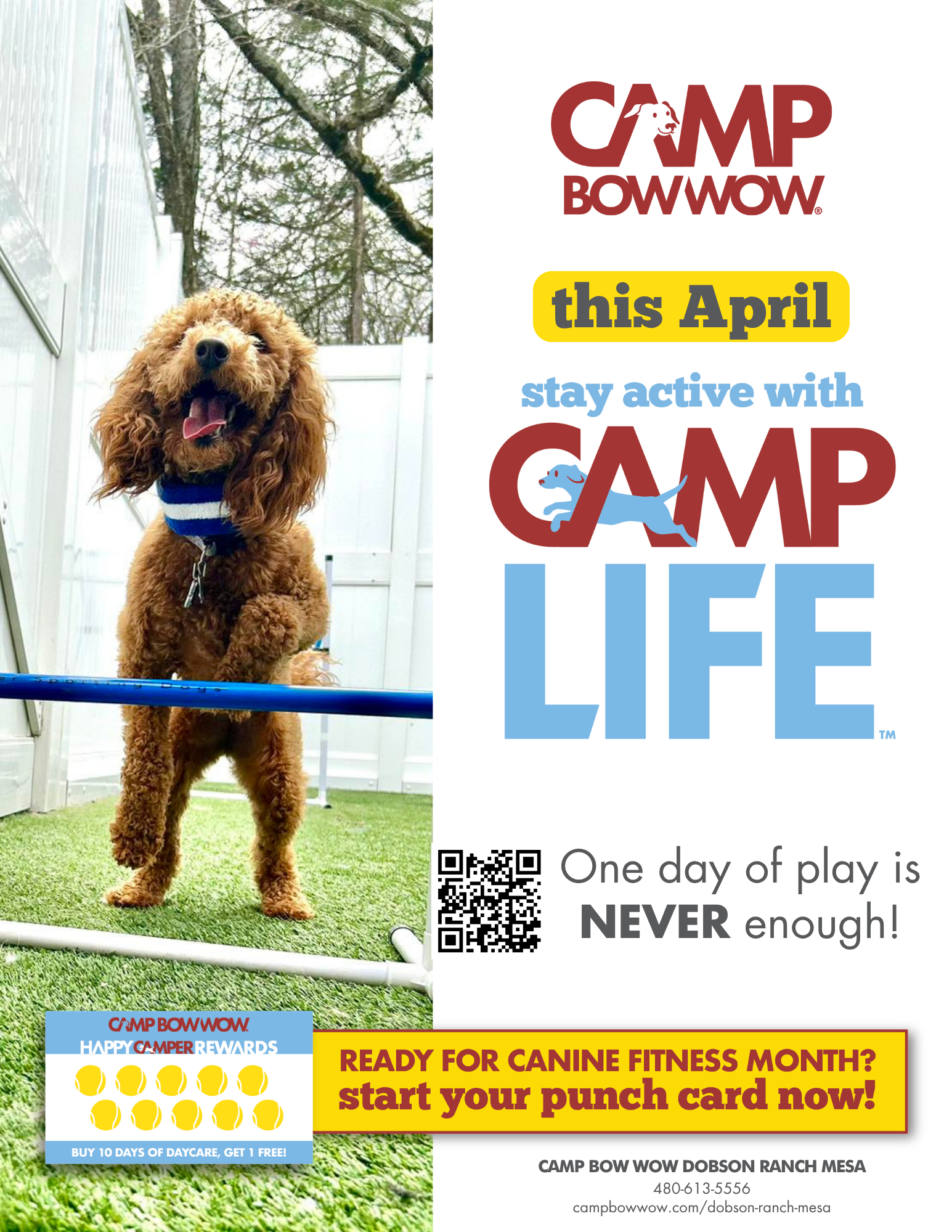 Canine Fitness Month