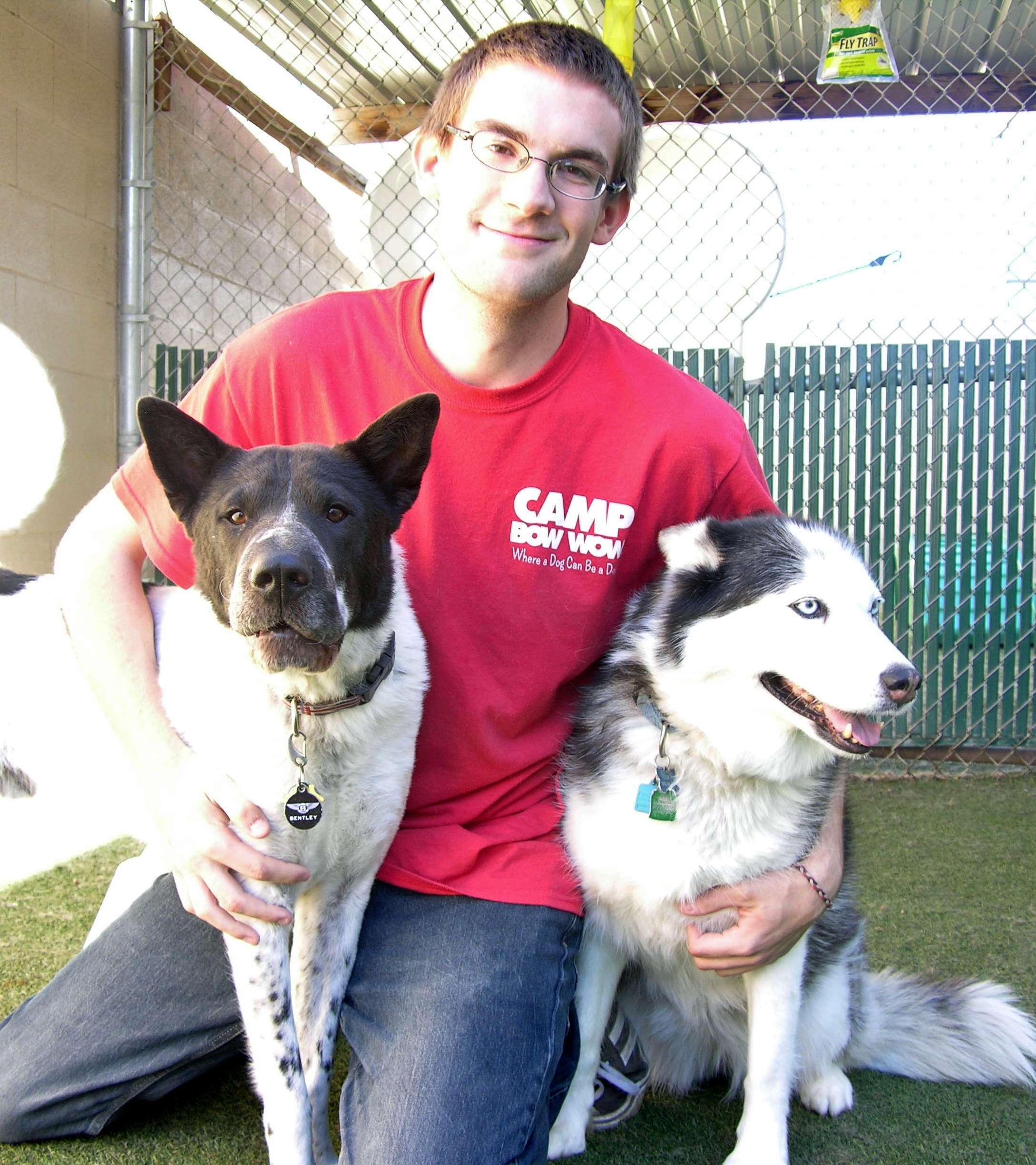 camp bow wow reservations