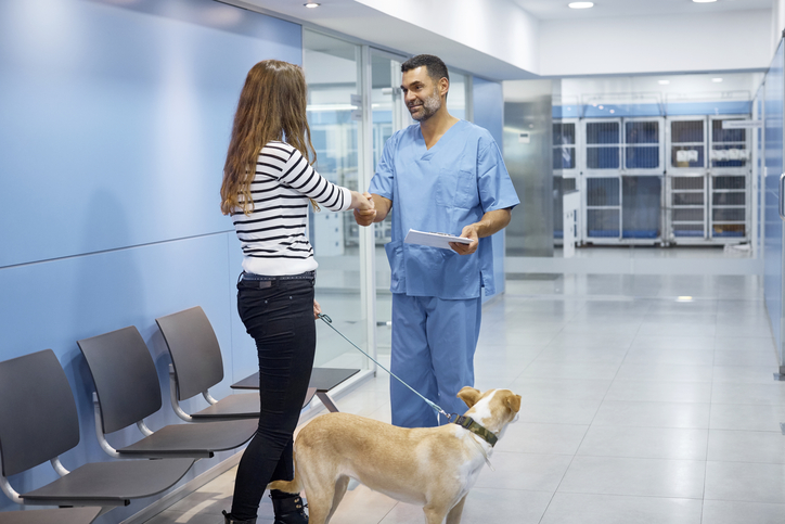 Veterinarian and dog owner shaking hands