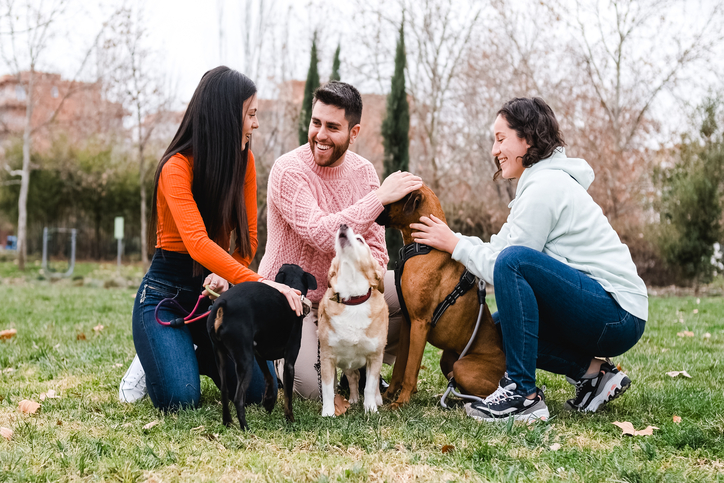 Group of dog owners talking at the park.