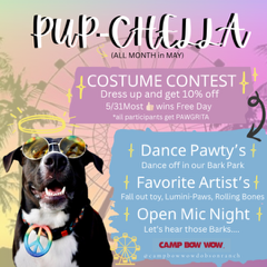 pupchella costume contest flyer