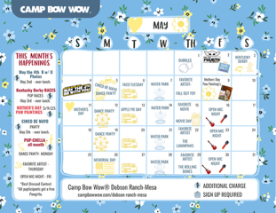 May events calendar at Camp Bow Wow Dobson Ranch Mesa