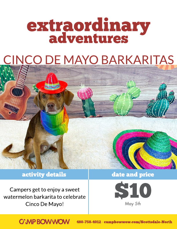 extraordinary adventures, Cinco de Mayo barkaritas- Campers get to enjoy a sweet watermelon barkarita for $10 on May 5