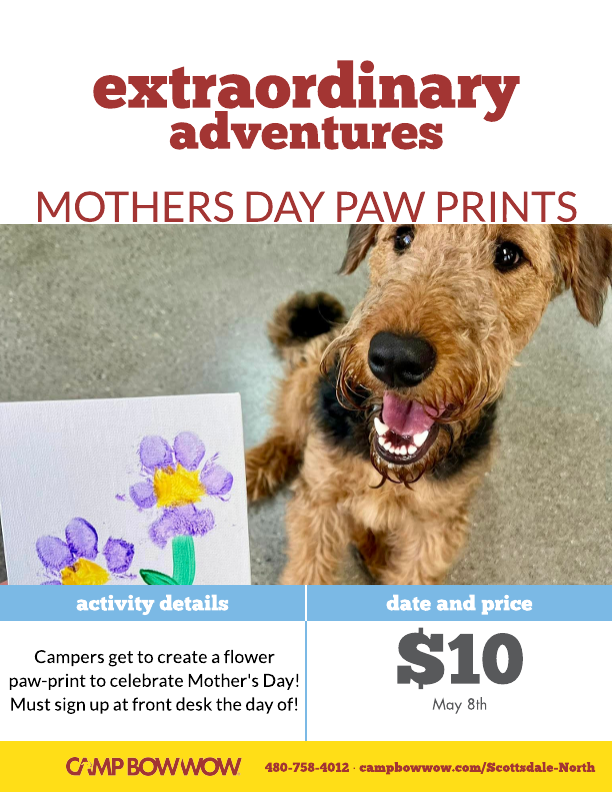 extraordinary adventures - Mothers Day paw prints May 8