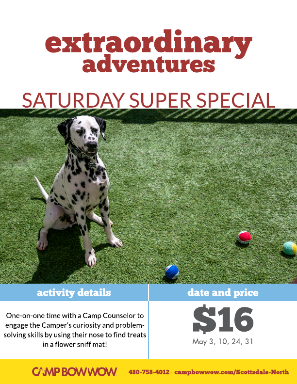 extraordinary adventures - Saturday super special for one-on-one time