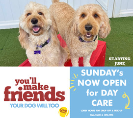 sundays now open for daycare