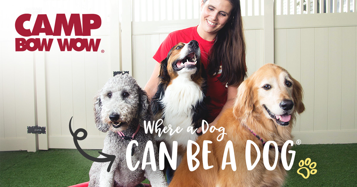 Longmont Dog Care Company | Dog Day Care in Longmont