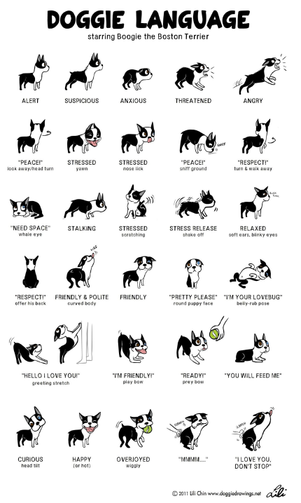 Doggie Language