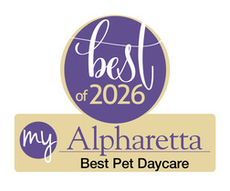2026 Best Pet Daycare