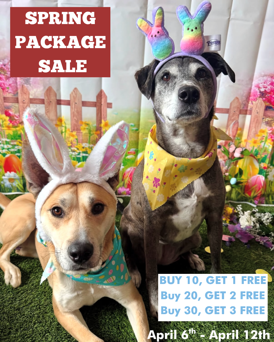 two dogs with bunny ears on their heads