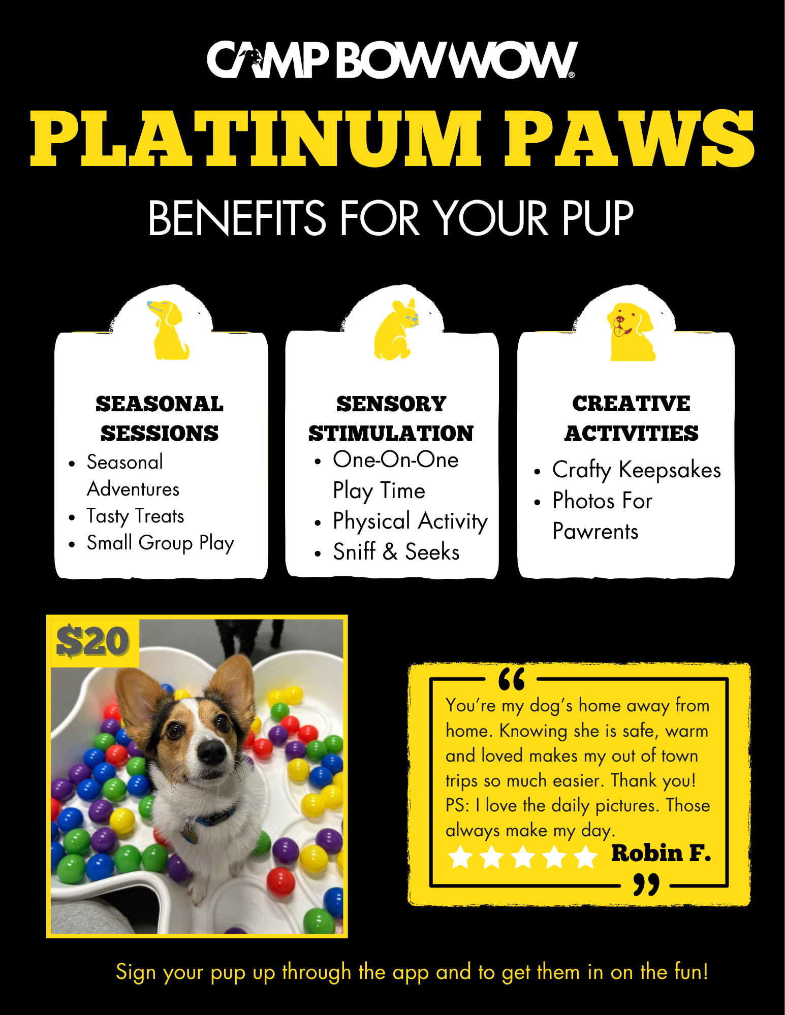 platinum paws event