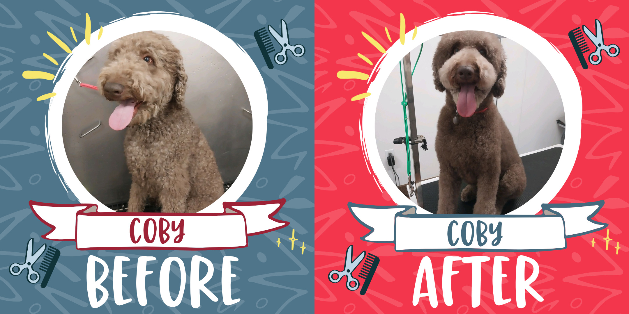 Dog Grooming Before & After