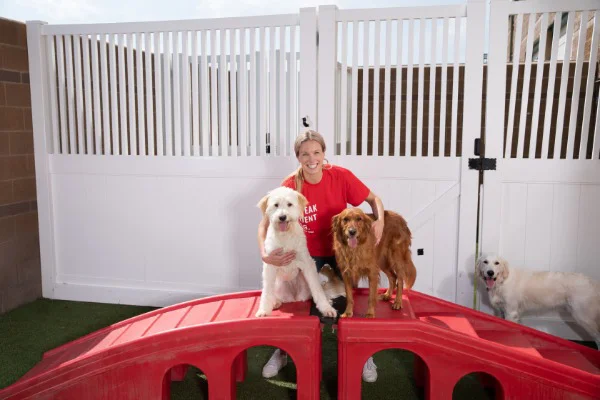 a camp counselor posing with three dogs