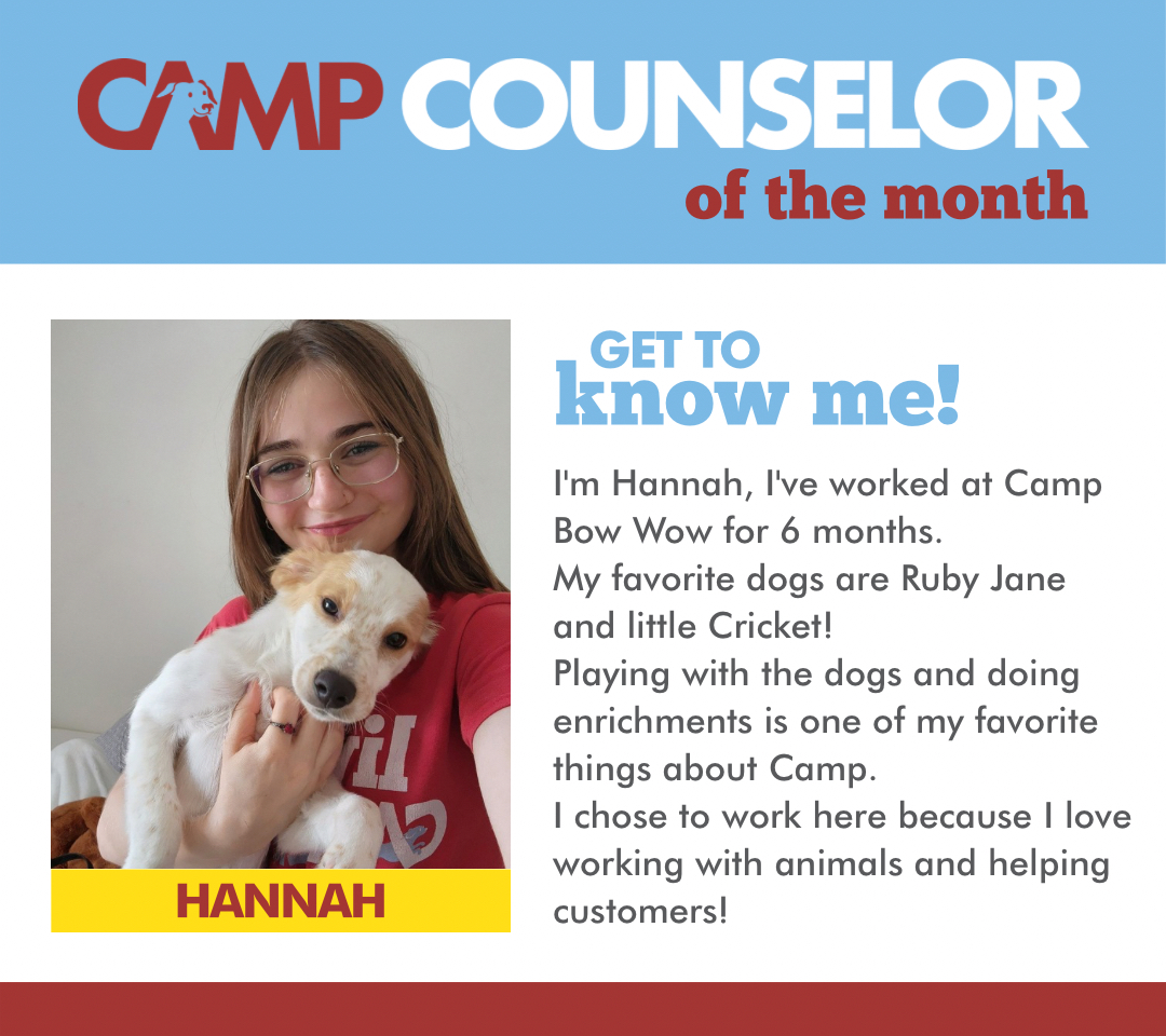 a girl holding a puppy smiling
