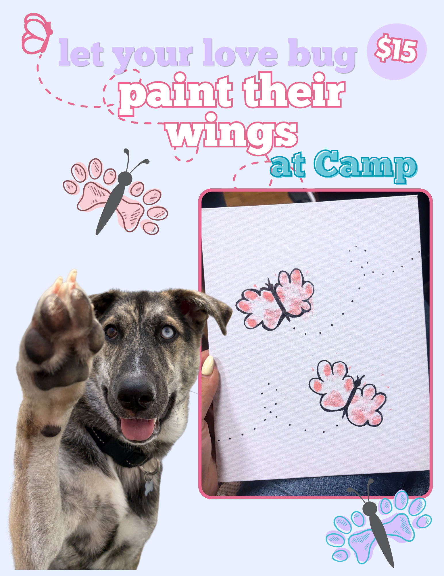 a dog holding his paw in the air