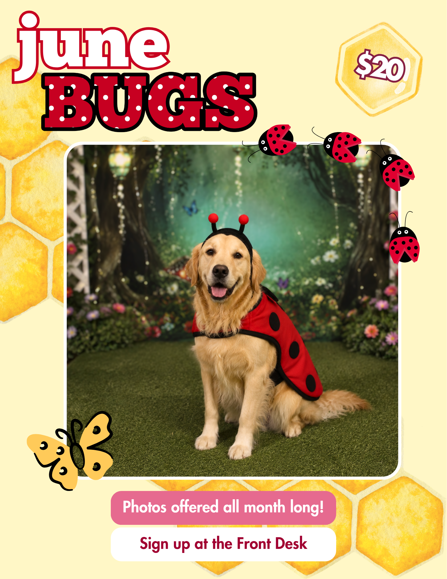 a golden retriever with lady bug ears on