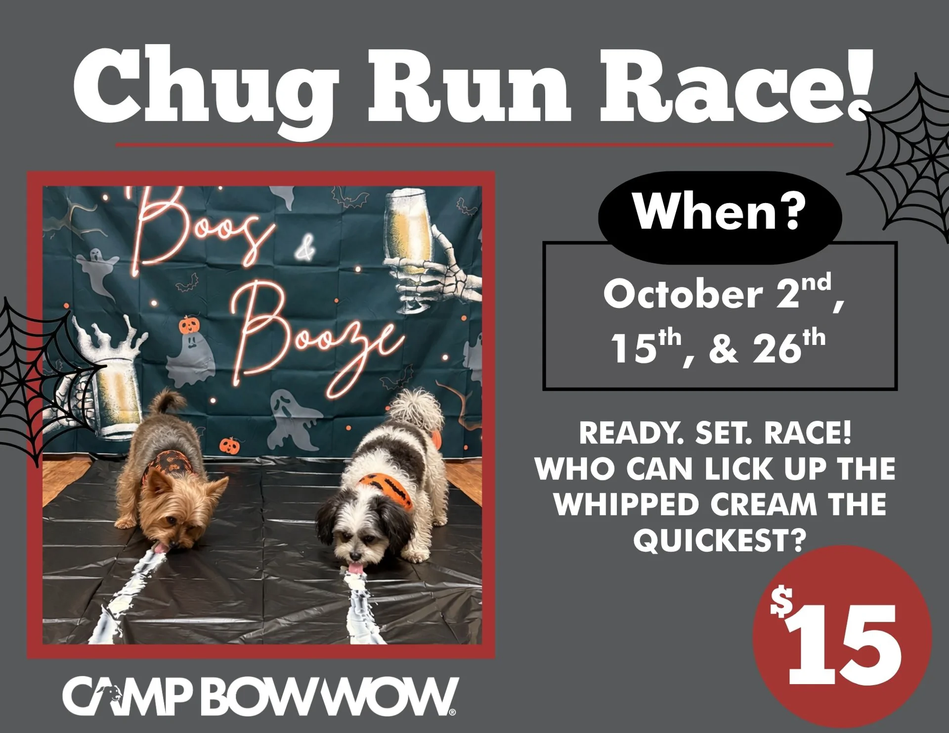 Chug Run Race Flyer October 2nd, 15th, and 16th. Ready. Set. Race! Who can lick up the whipped cream the quickest? $15