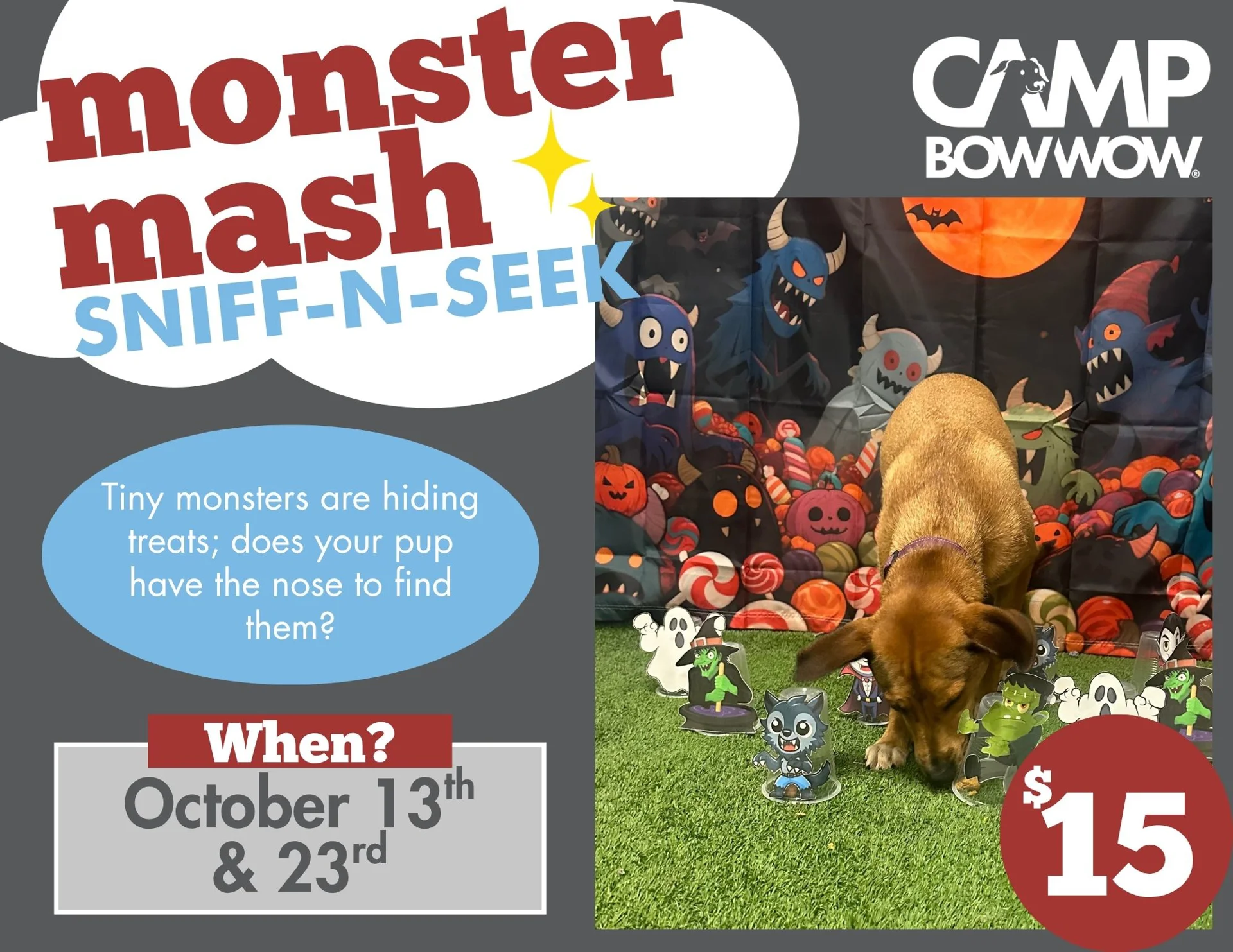 monster mash sniff n seek Tiny Monsters are hiding treats; does your pup have the nose to find them? When? October 13th & 23rd $15