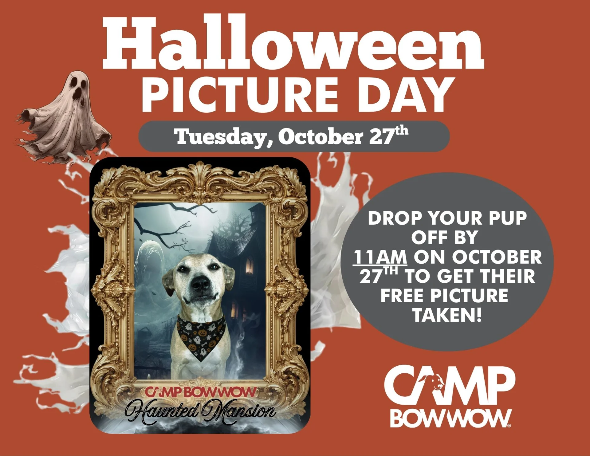 Halloween Picture Day Tuesday October 27th Drop your pup off by 11am on October 27th to get their free picture taken!
