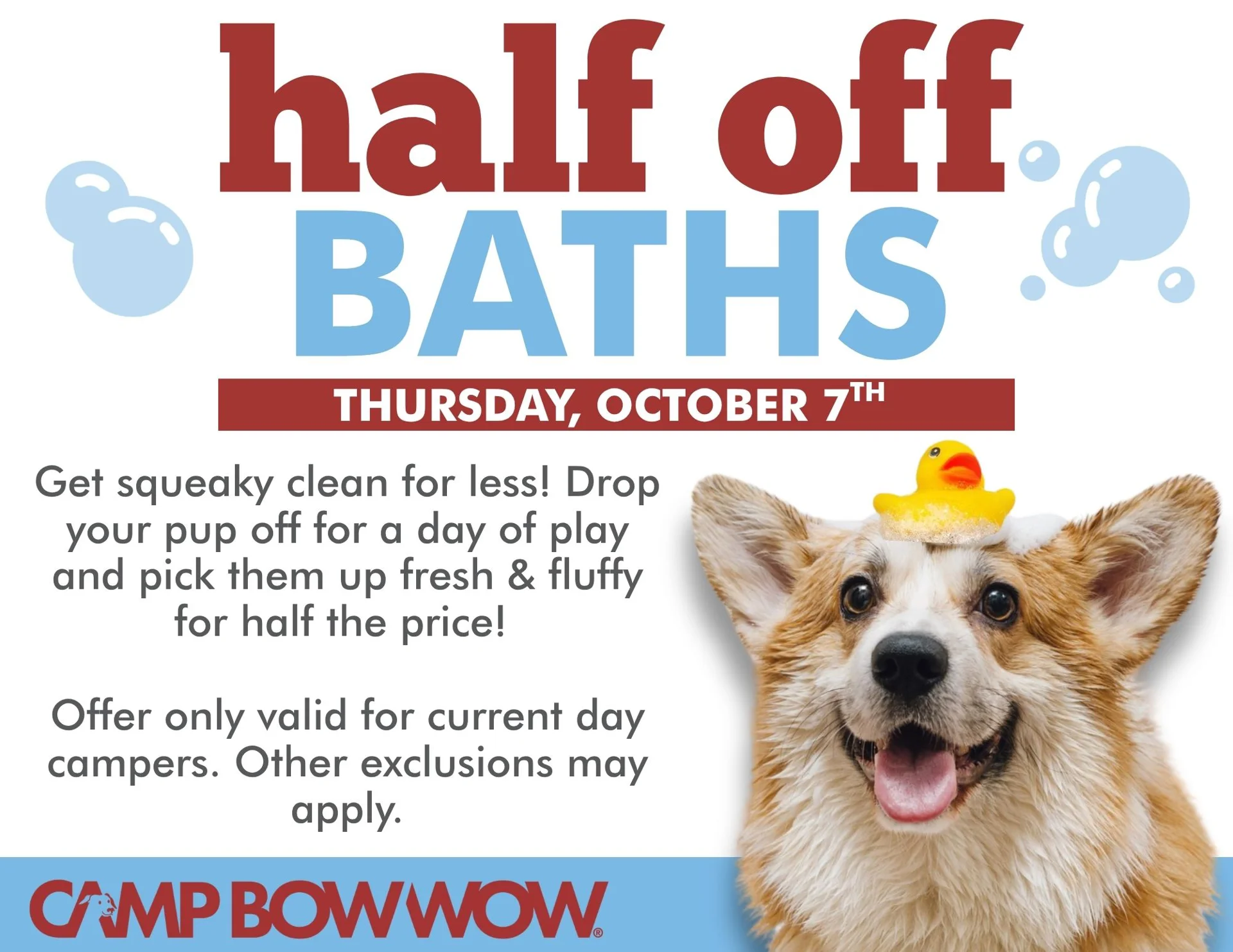 half off baths Thursday October 7th Get squeaky clean for less! Drop your pup off for a day of play and pick them up fresh & fluffy for half the price! Offer only valid for current day campers. Other exclusions may apply.