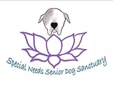 Special Needs Senior Dog Sanctuary