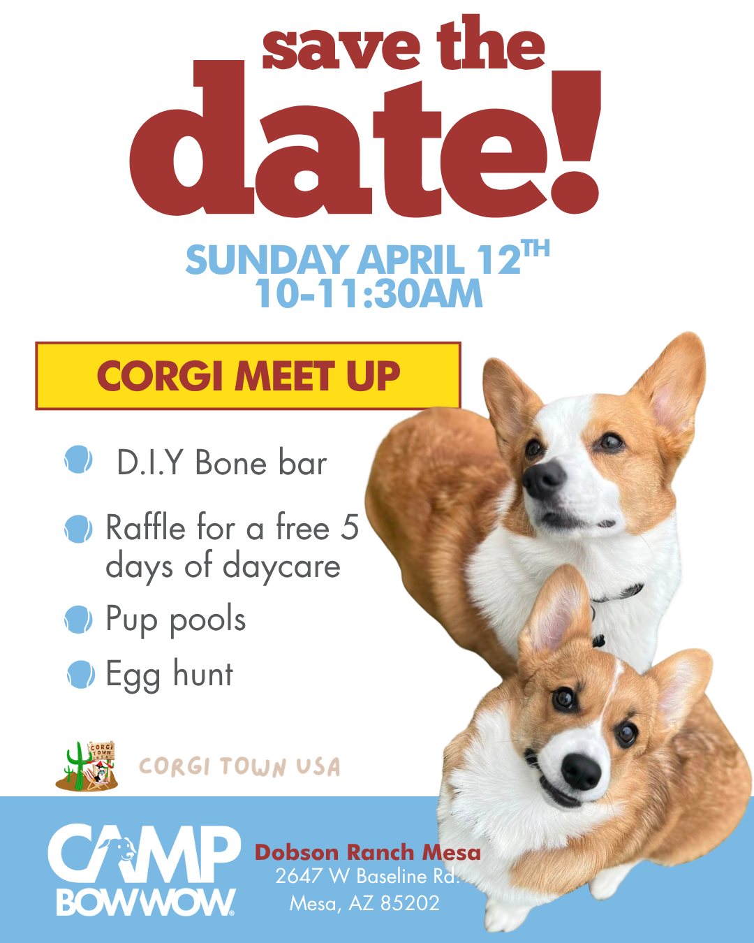 Corgi Meet Up