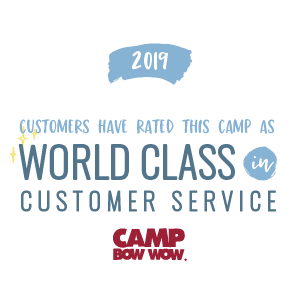 Customer Service 2019