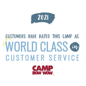 Customer Service 2021