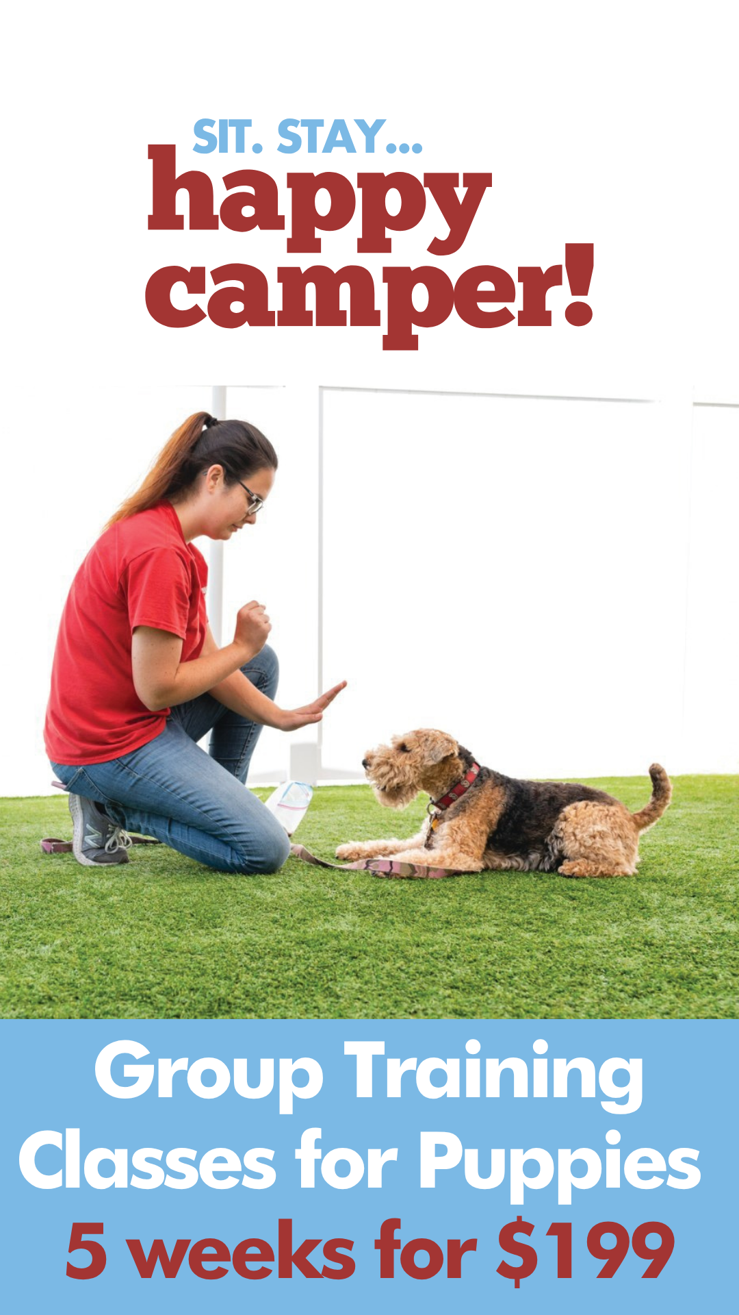group training classes for puppies 5 weeks for $199