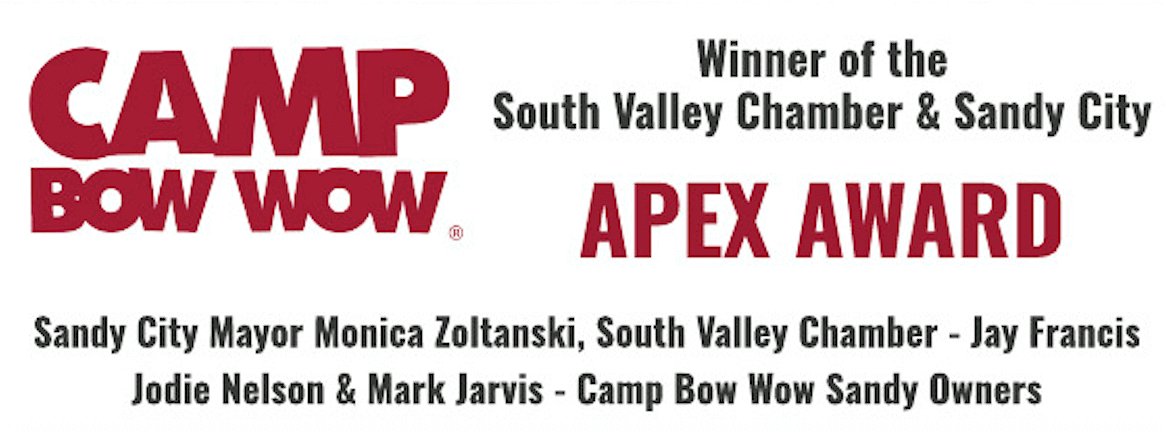 Apex Award