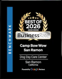 Best of 2026 - Business Rate 