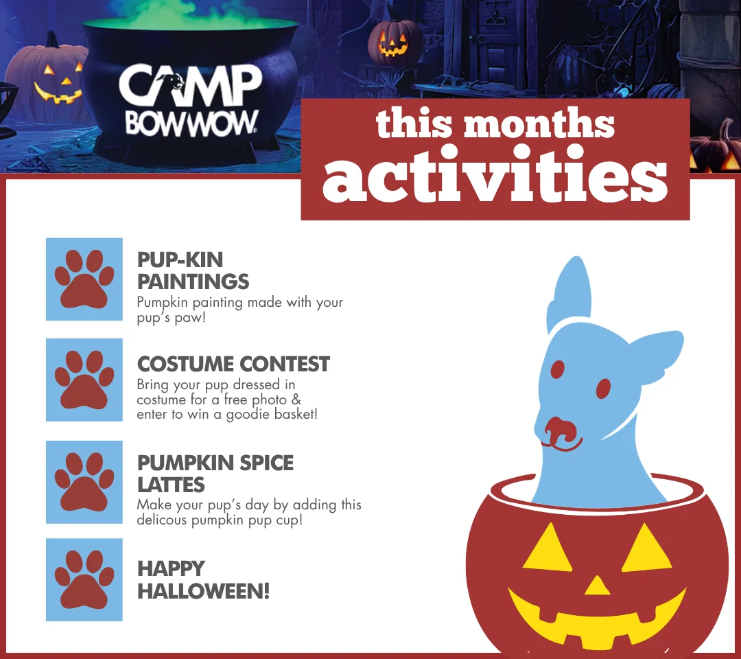 October 2026 activities